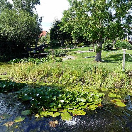 "Balmgarten" Im Naturpark Usedom, Bio Solarhaus Mit Grossem Garten Zewnętrze zdjęcie