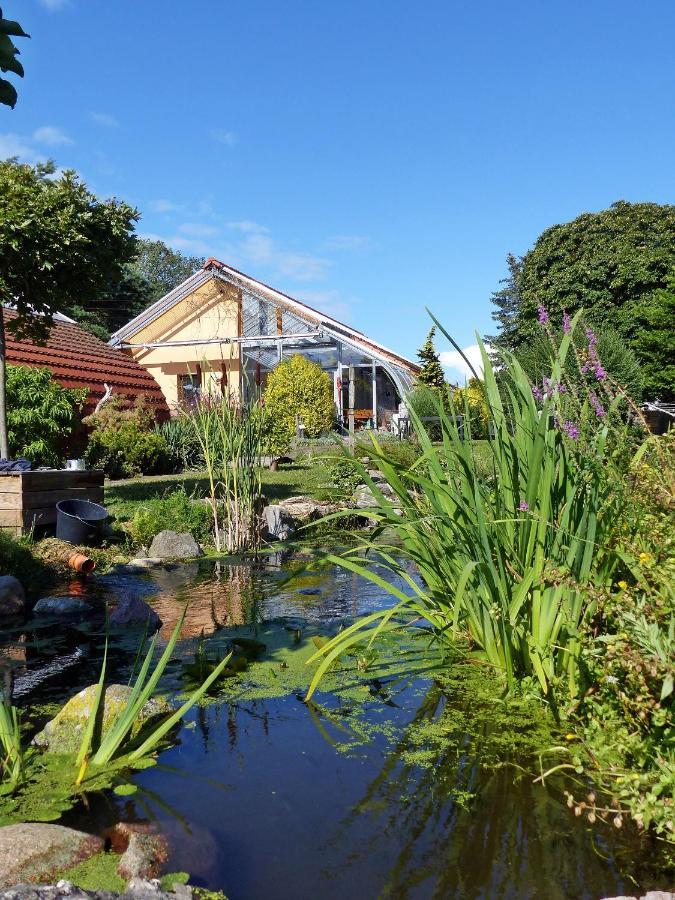 "Balmgarten" Im Naturpark Usedom, Bio Solarhaus Mit Grossem Garten Zewnętrze zdjęcie