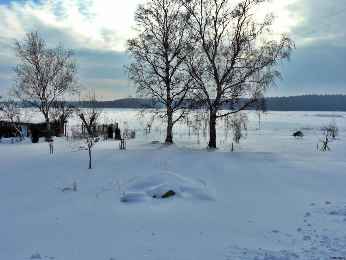 "Balmgarten" Im Naturpark Usedom, Bio Solarhaus Mit Grossem Garten Zewnętrze zdjęcie