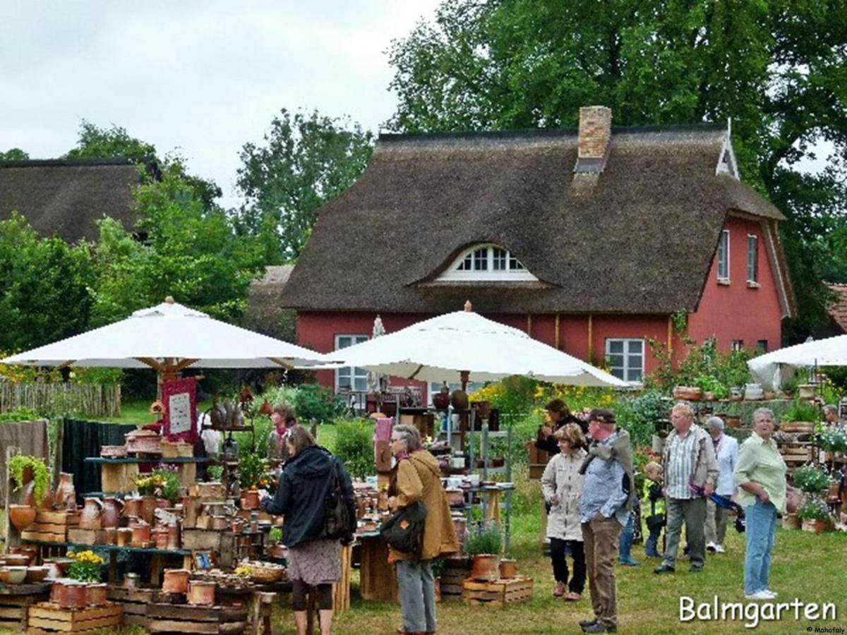 "Balmgarten" Im Naturpark Usedom, Bio Solarhaus Mit Grossem Garten Zewnętrze zdjęcie