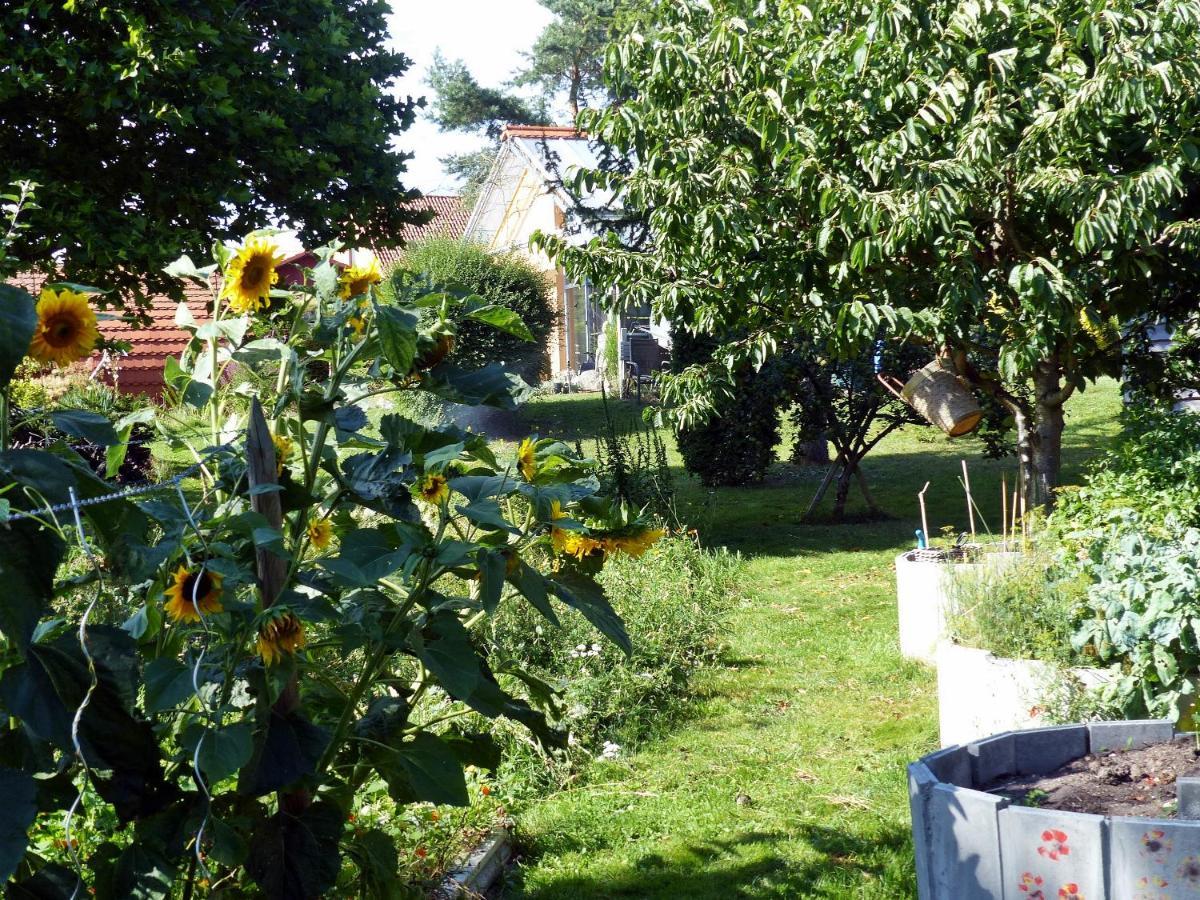 "Balmgarten" Im Naturpark Usedom, Bio Solarhaus Mit Grossem Garten Zewnętrze zdjęcie