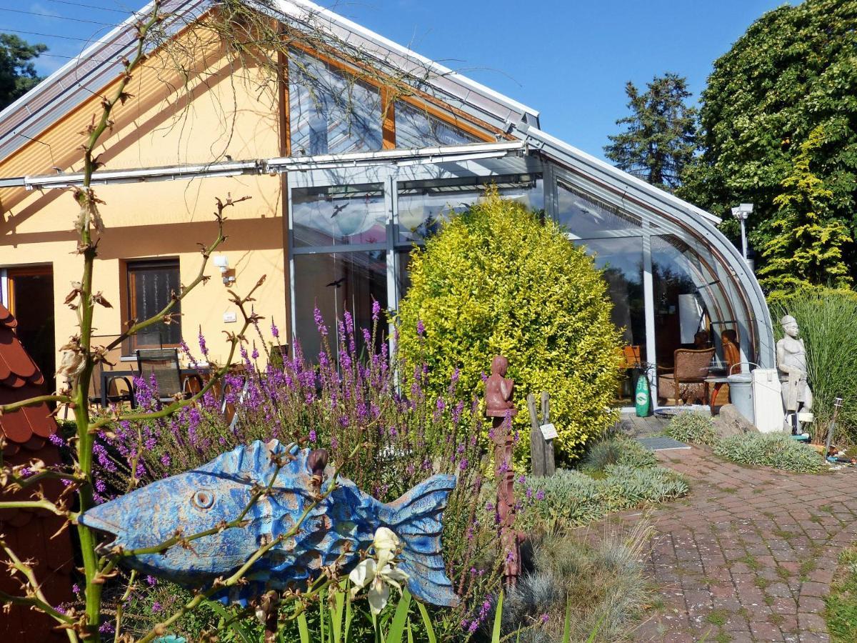 "Balmgarten" Im Naturpark Usedom, Bio Solarhaus Mit Grossem Garten Zewnętrze zdjęcie