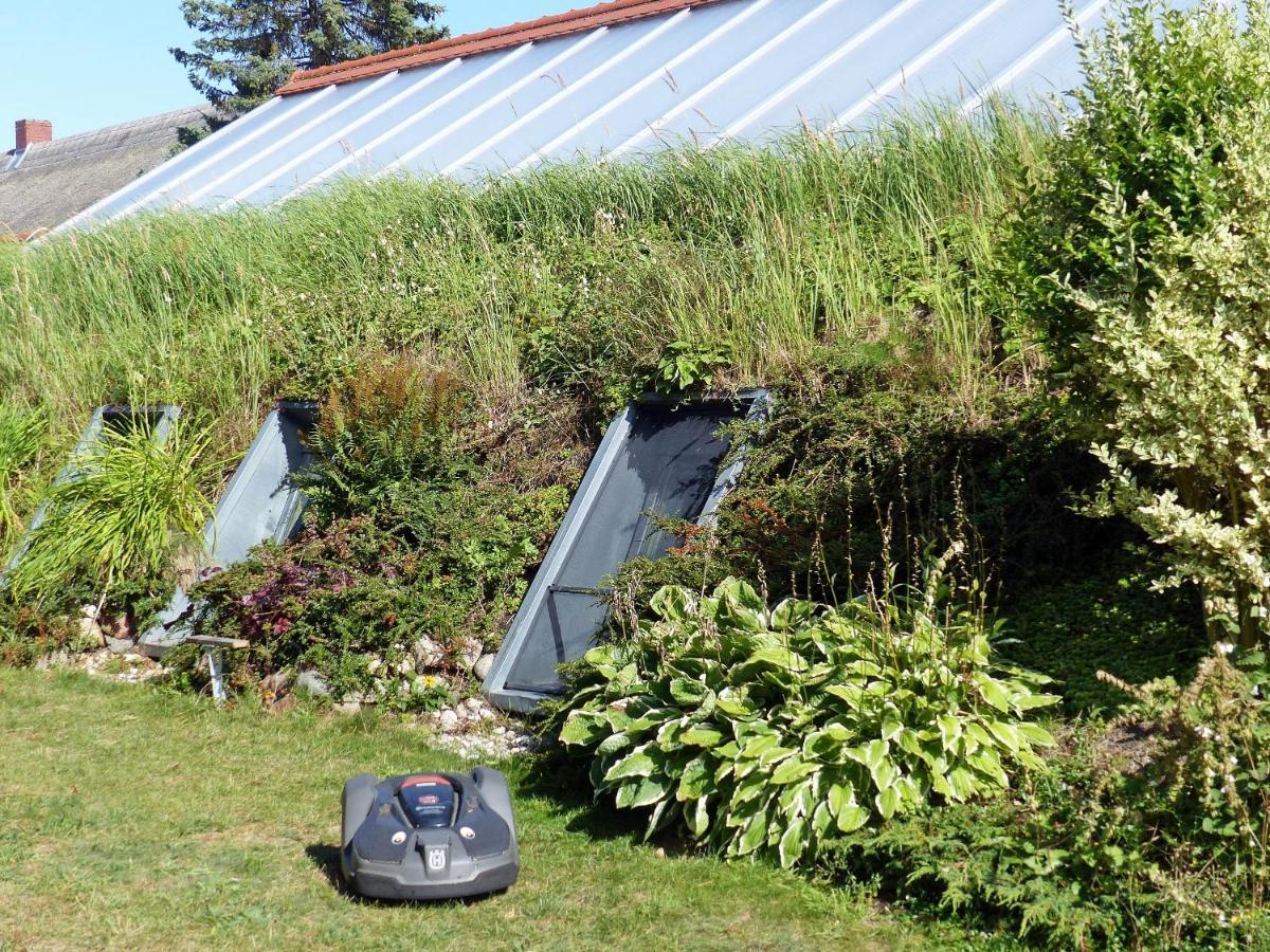 "Balmgarten" Im Naturpark Usedom, Bio Solarhaus Mit Grossem Garten Zewnętrze zdjęcie