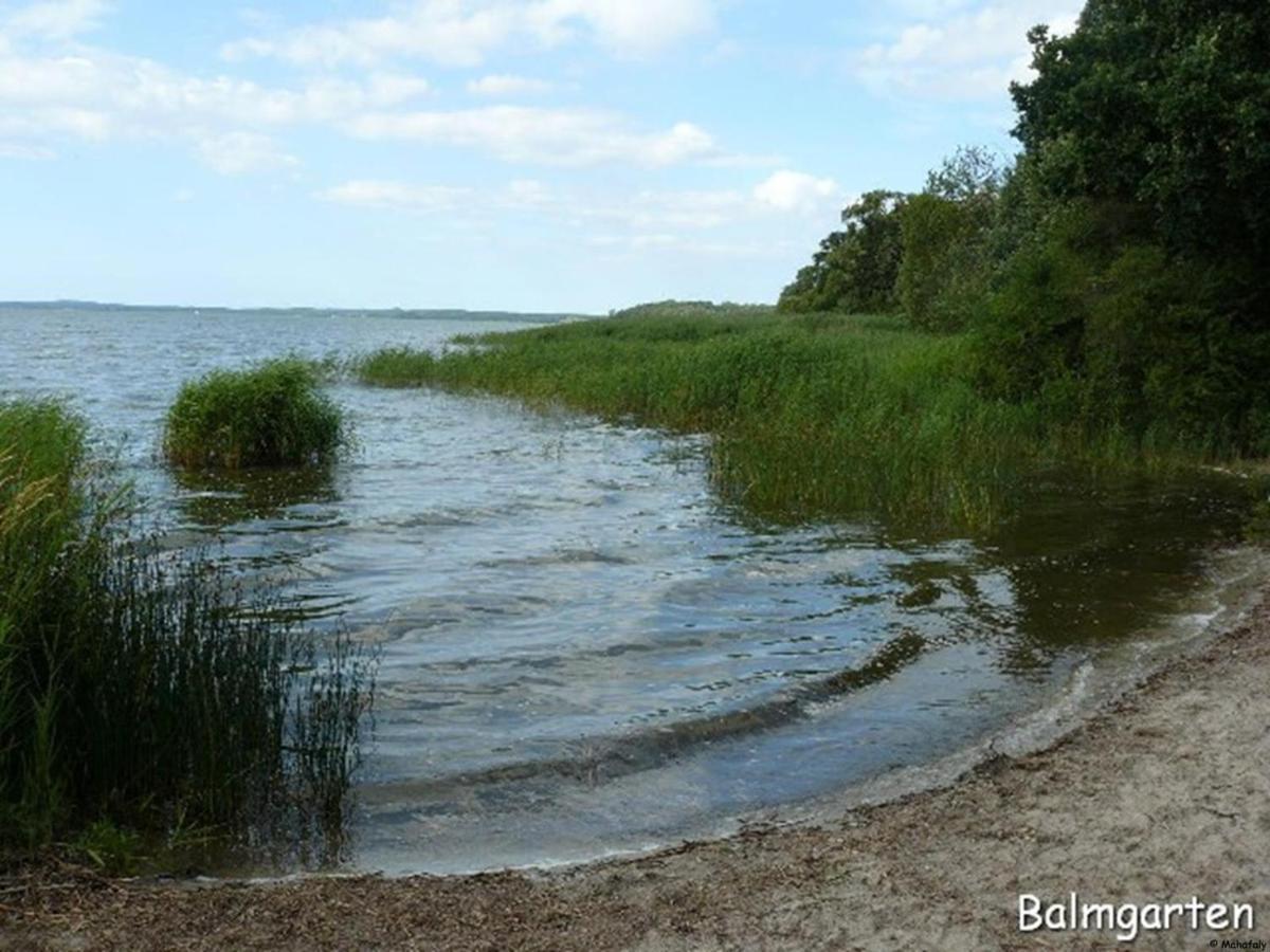 "Balmgarten" Im Naturpark Usedom, Bio Solarhaus Mit Grossem Garten Zewnętrze zdjęcie