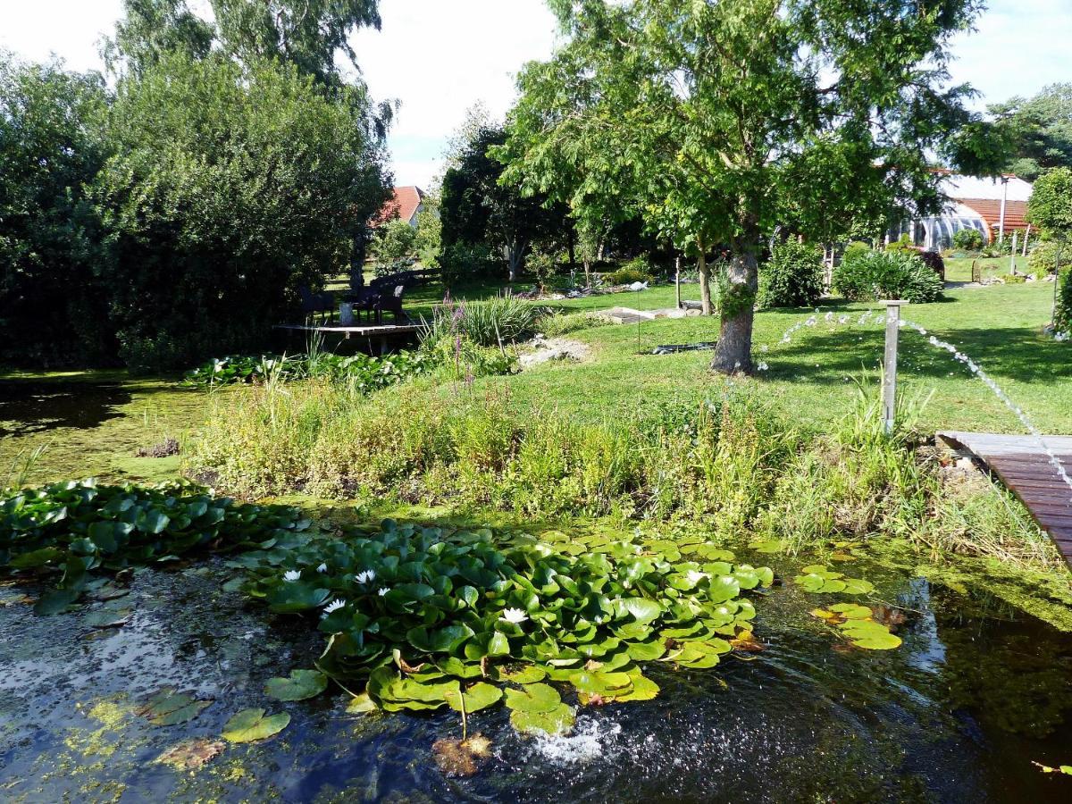 "Balmgarten" Im Naturpark Usedom, Bio Solarhaus Mit Grossem Garten Zewnętrze zdjęcie